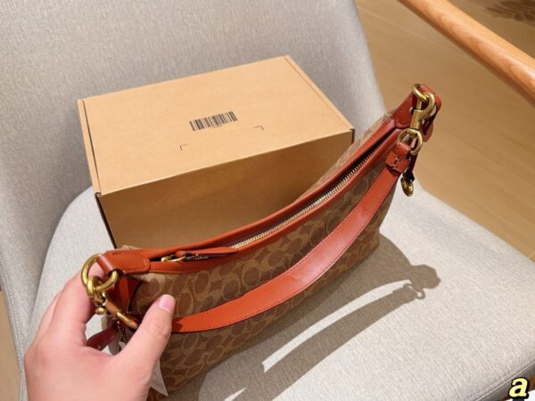 Coach Bag 2025