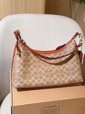 Coach Bag 2025