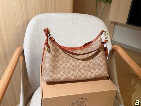 Coach Bag 2025