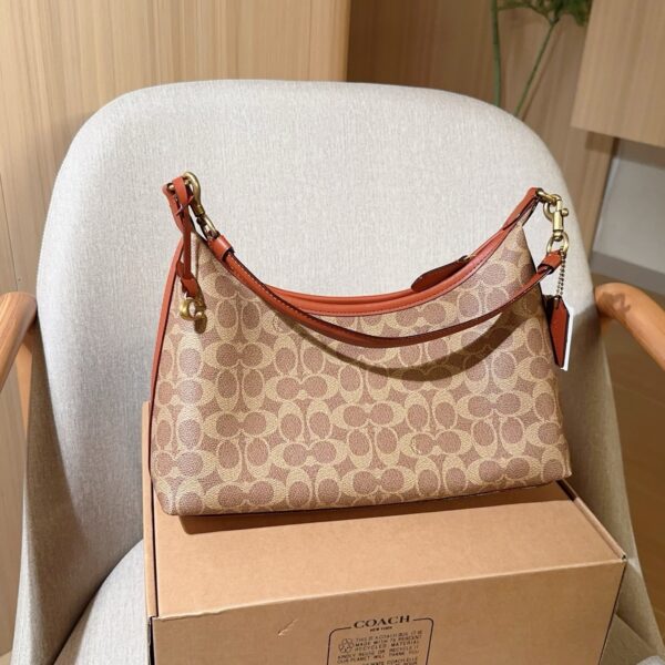 Coach Bag 2025