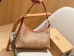 Coach Bag 2025