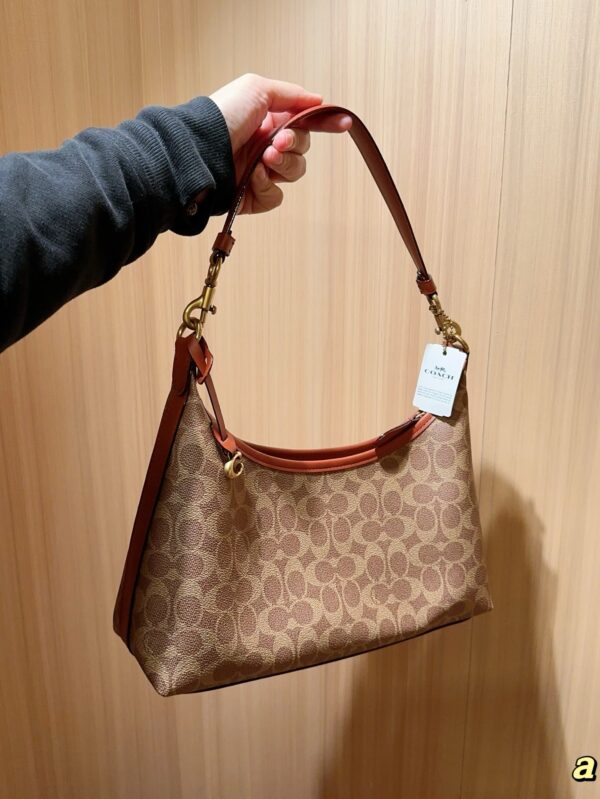Coach Bag 2025