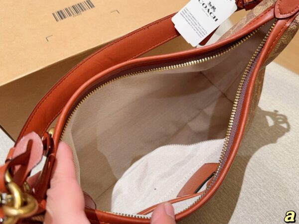 Coach Bag 2025