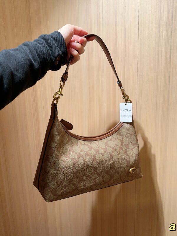 Coach Bag 2025