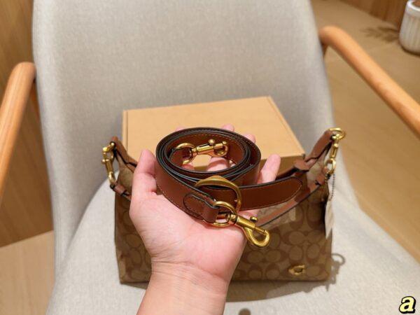 Coach Bag 2025