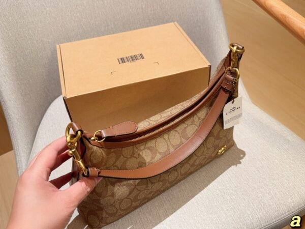 Coach Bag 2025
