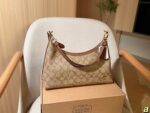 Coach Bag 2025