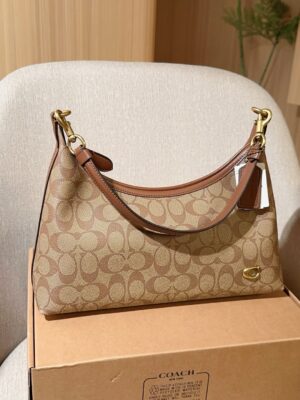 Coach Bag 2025