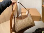 Coach Bag 2025