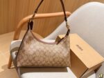 Coach Bag 2025