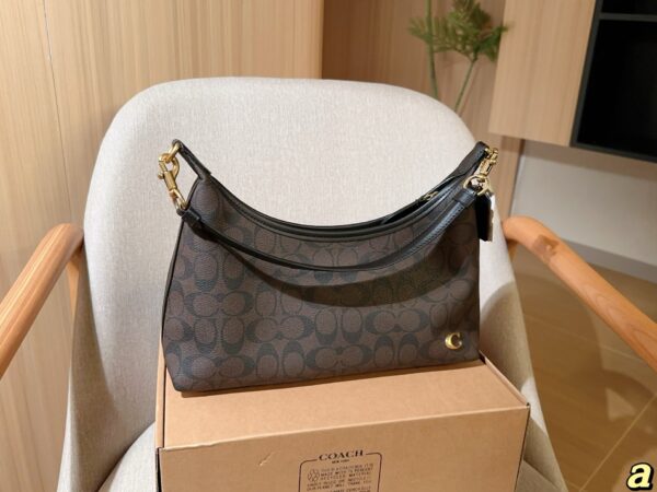 Coach Bag 2025