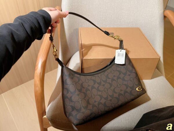 Coach Bag 2025