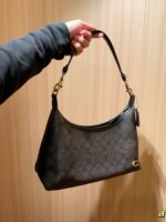 Coach Bag 2025