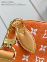 LV Master level Bag
