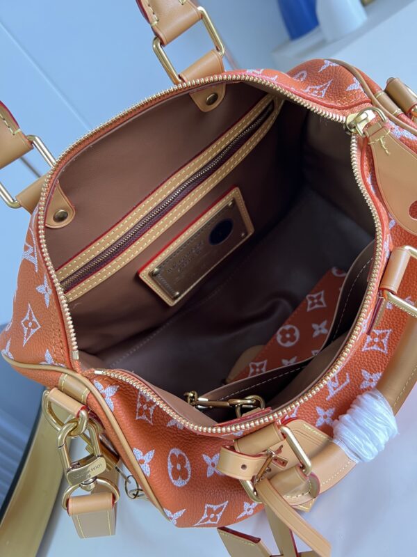 LV Master level Bag