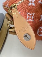 LV Master level Bag
