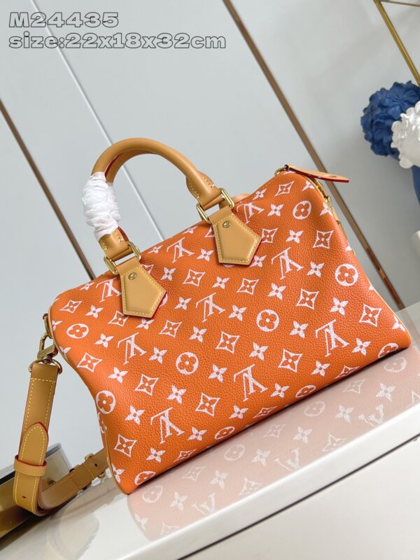 LV Master level Bag