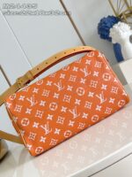 LV Master level Bag