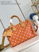 LV Master level Bag