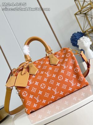 LV Master level Bag