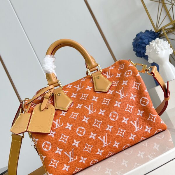 LV Master level Bag