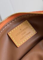 LV Master level Bag