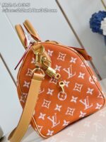 LV Master level Bag