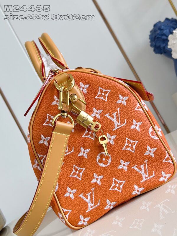 LV Master level Bag