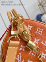 LV Master level Bag