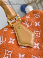 LV Master level Bag
