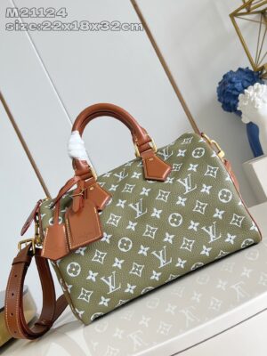 LV Master level Bag