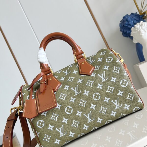 LV Master level Bag