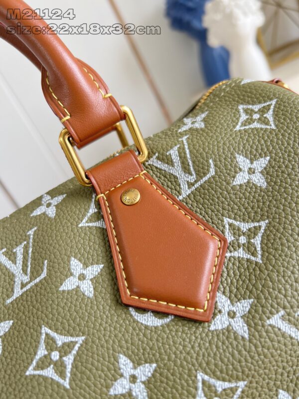 LV Master level Bag