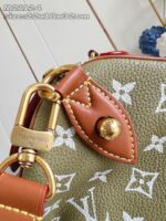 LV Master level Bag
