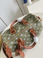 LV Master level Bag