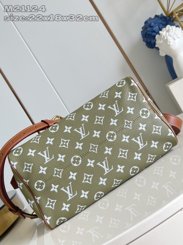 LV Master level Bag