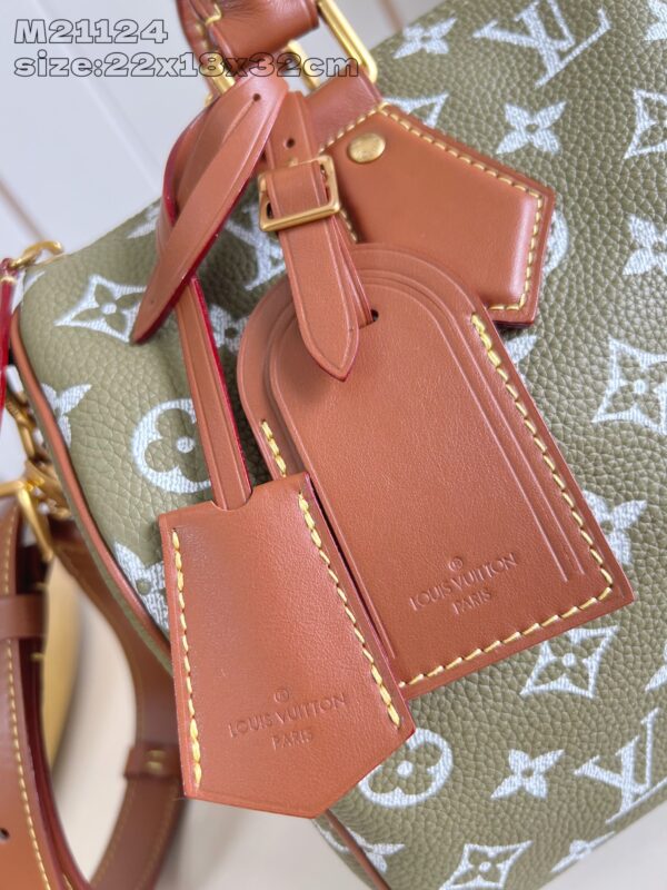 LV Master level Bag