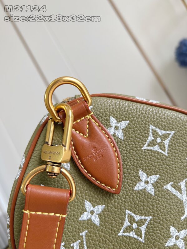 LV Master level Bag