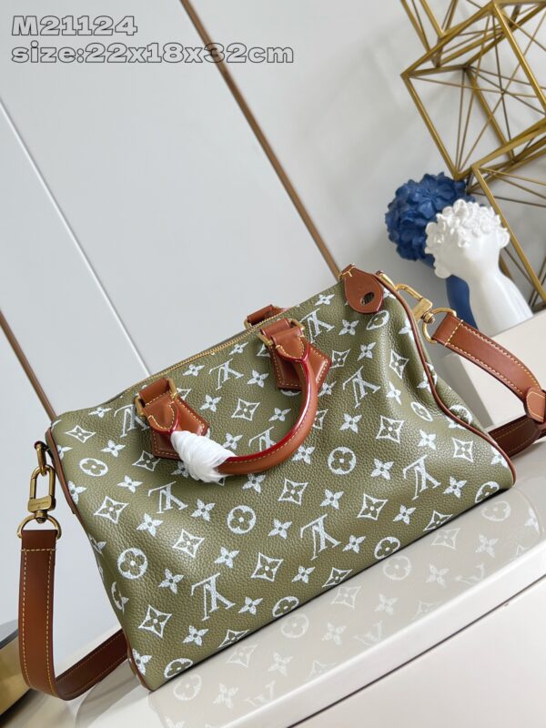 LV Master level Bag
