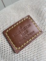 LV Master level Bag