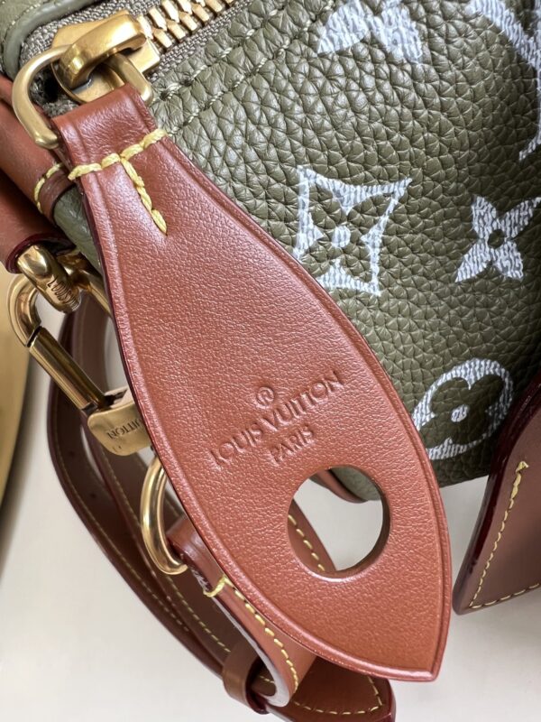 LV Master level Bag
