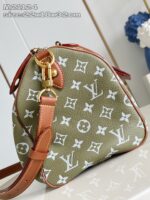 LV Master level Bag