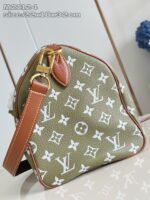 LV Master level Bag