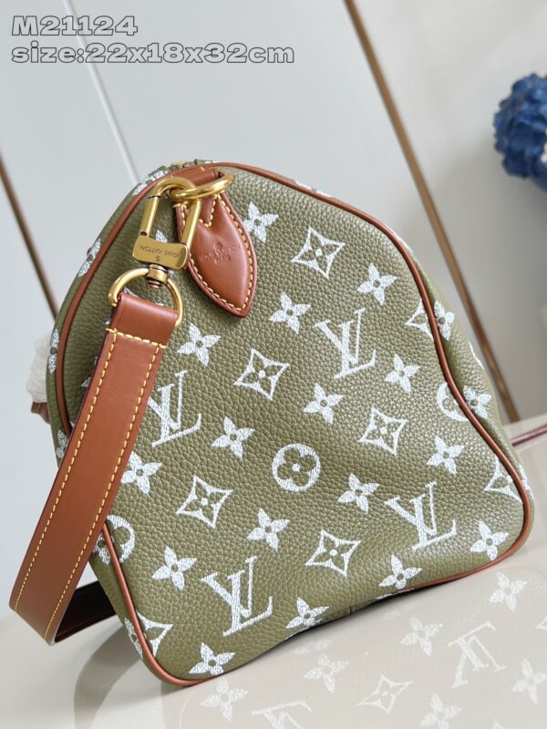 LV Master level Bag