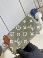 LV Master level Bag