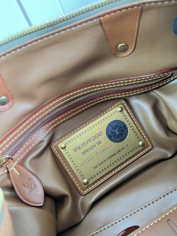 LV Master level Bag