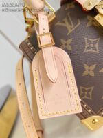 LV Master level Bag