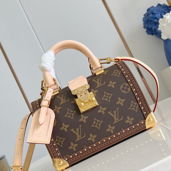 LV Master level Bag