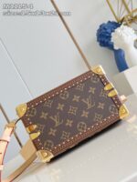 LV Master level Bag
