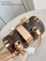 LV Master level Bag